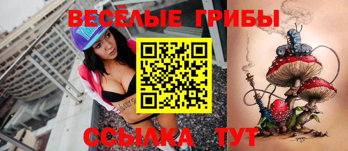Псилоцибиновые грибы GOLDEN TEACHER Екатеринбург