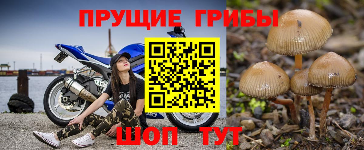 Псилоцибиновые грибы Magic Shrooms  Вход с VPN  Екатеринбург 